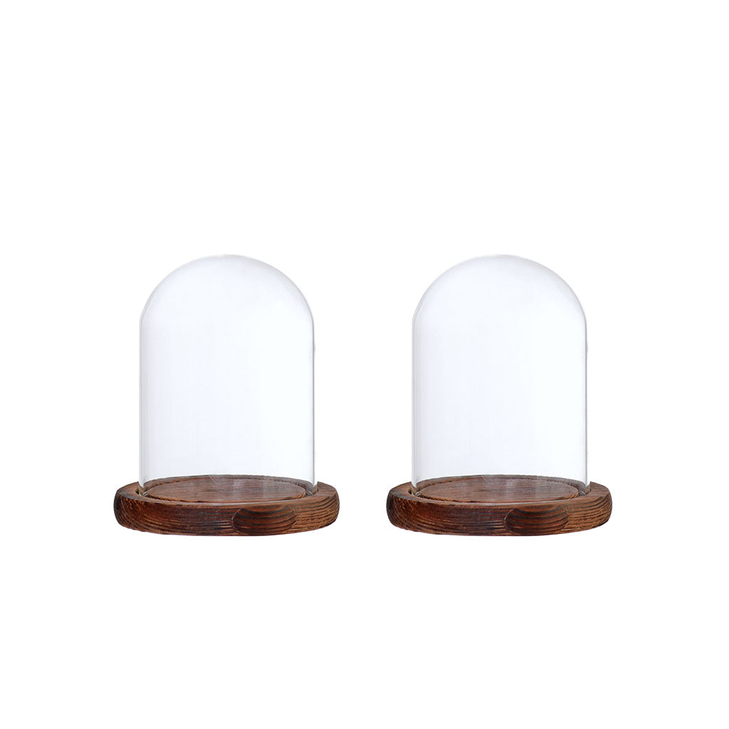 2xGlass Dome Cloche with Base Flower Landscape Holder Glass Cover Brown B