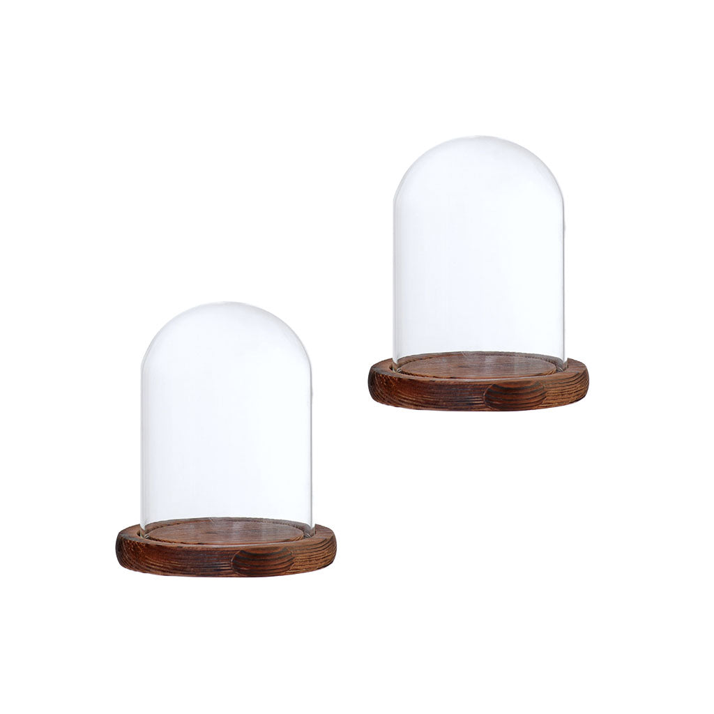 2xGlass Dome Cloche with Base Flower Landscape Holder Glass Cover Brown B