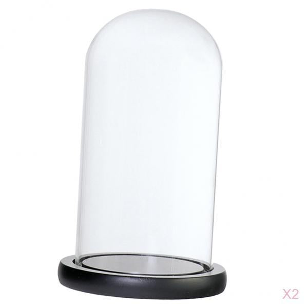 2xGlass Dome Cloche with Base Flower Landscape Holder Glass Cover Black D