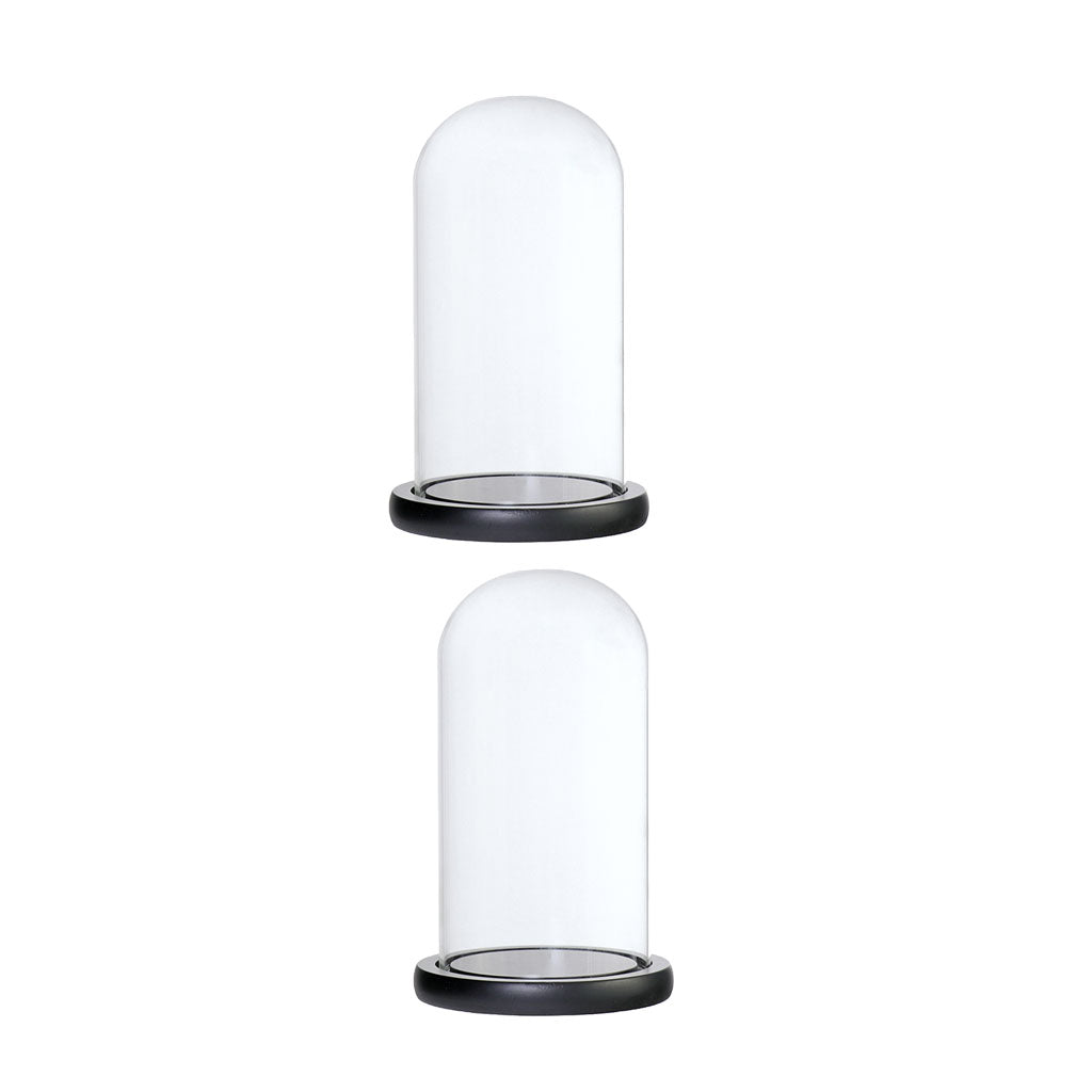 2xGlass Dome Cloche with Base Flower Landscape Holder Glass Cover Black D