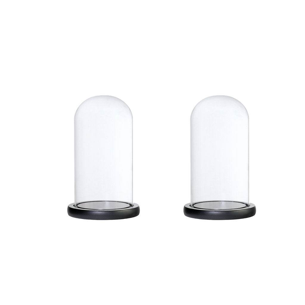 2xGlass Dome Cloche with Base Flower Landscape Holder Glass Cover Black D