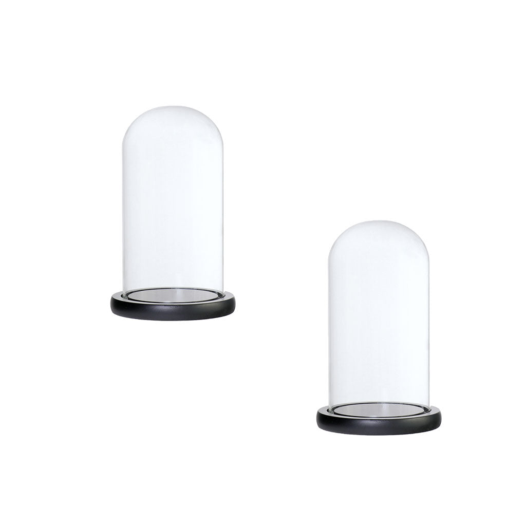 2xGlass Dome Cloche with Base Flower Landscape Holder Glass Cover Black D