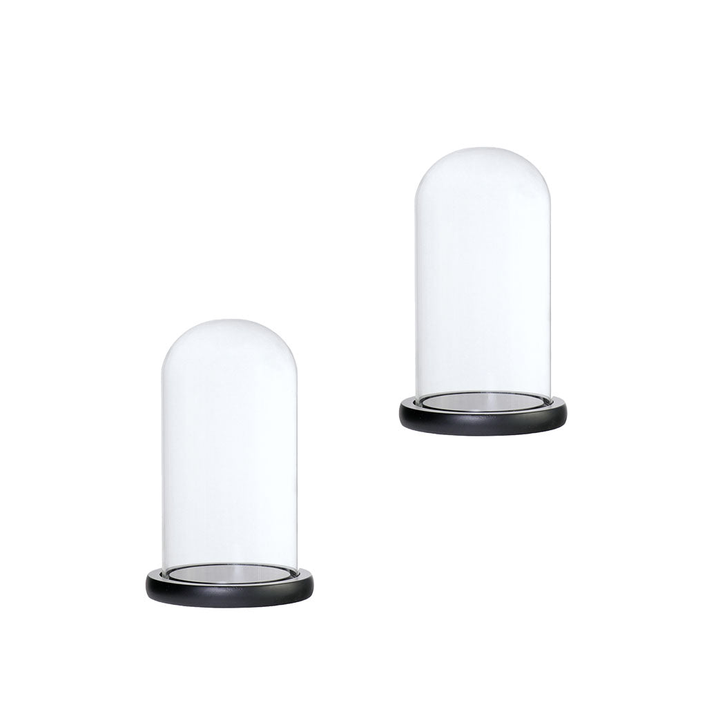 2xGlass Dome Cloche with Base Flower Landscape Holder Glass Cover Black D