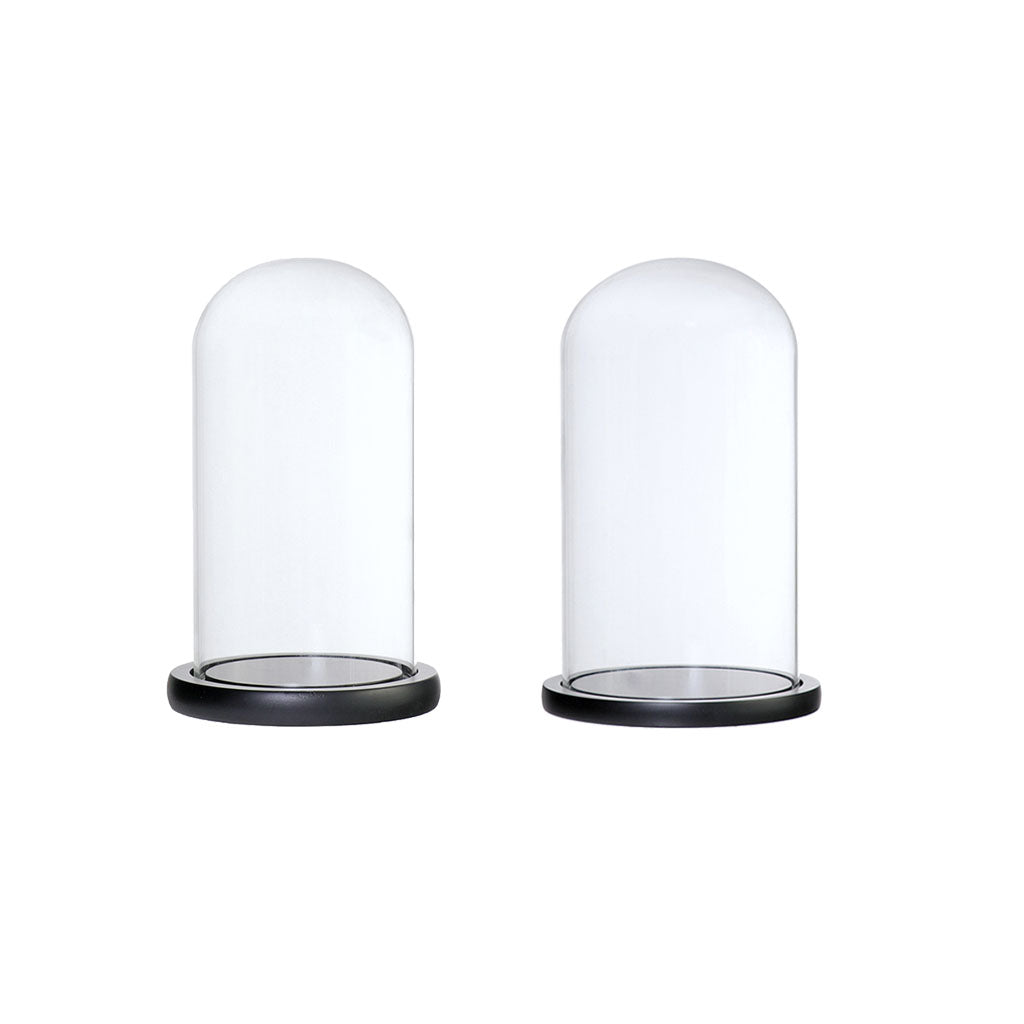 2xGlass Dome Cloche Base Flower Landscape Holder Glass Cover Black 2Size