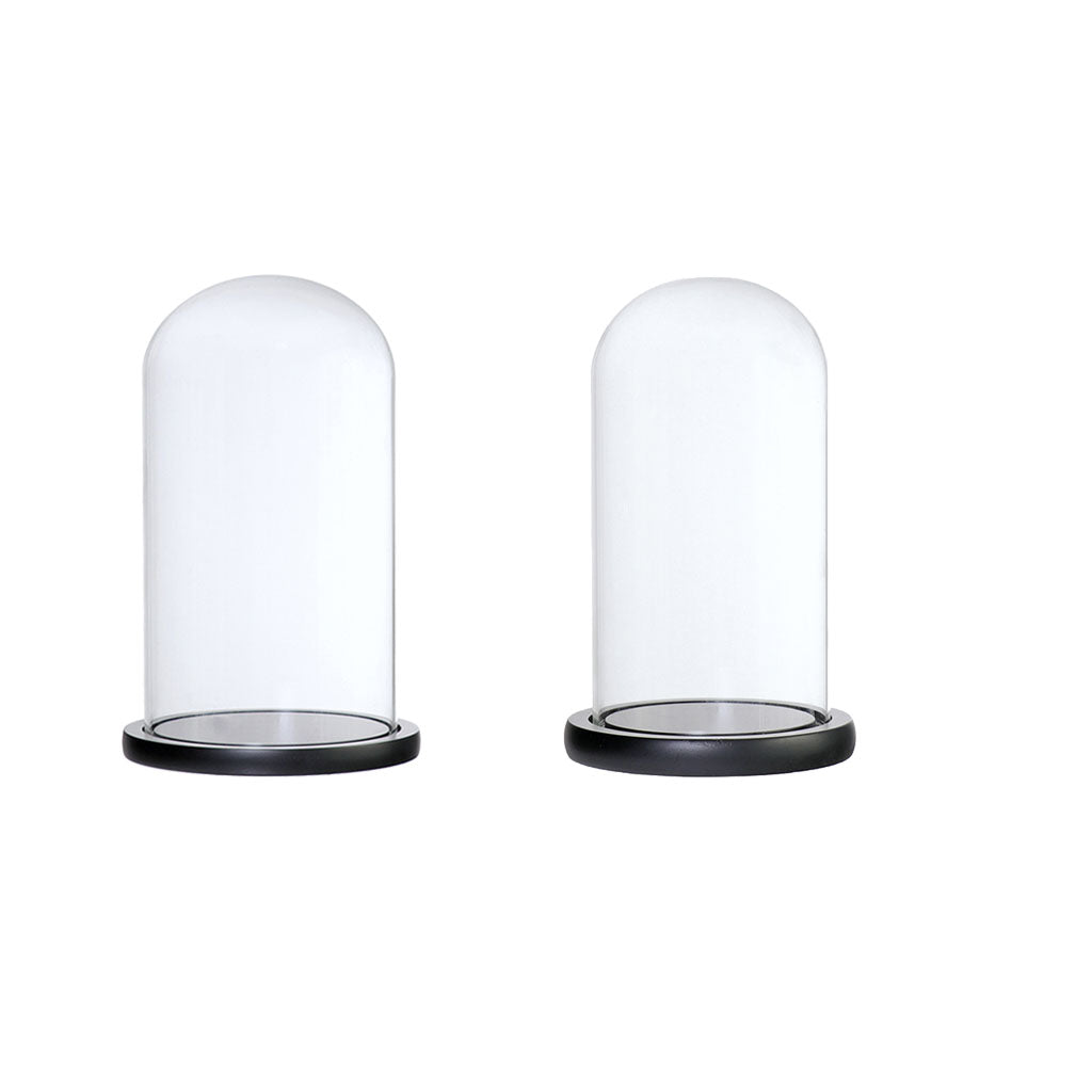 2xGlass Dome Cloche Base Flower Landscape Holder Glass Cover Black 2Size