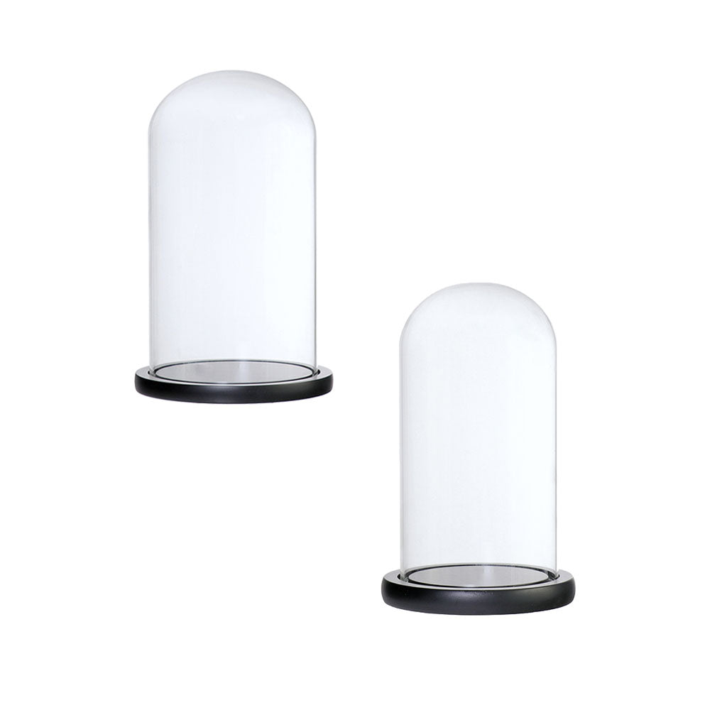 2xGlass Dome Cloche Base Flower Landscape Holder Glass Cover Black 2Size
