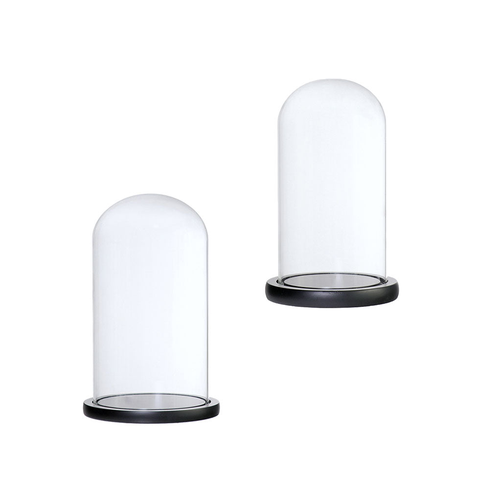 2xGlass Dome Cloche Base Flower Landscape Holder Glass Cover Black 2Size