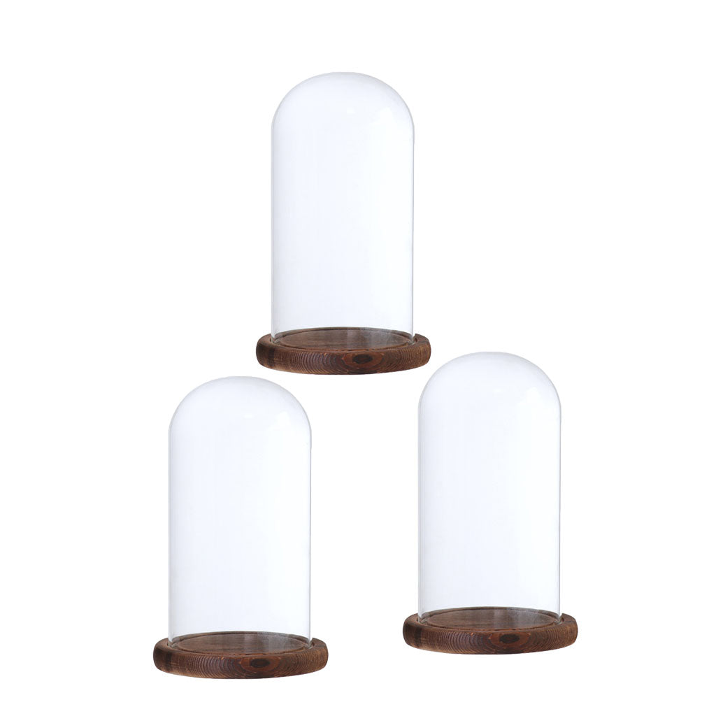 2xGlass Dome Cloche with Base Flower Landscape Holder Glass Cover Brown D