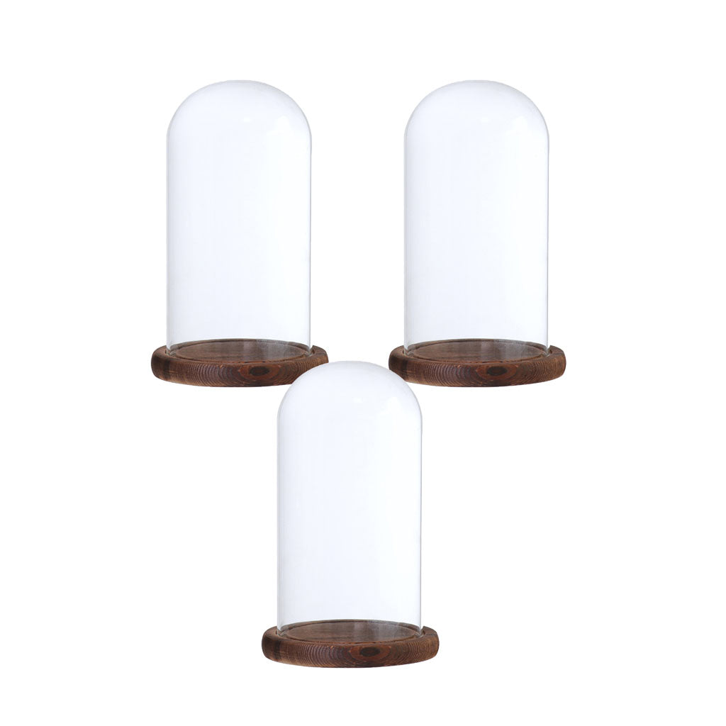 2xGlass Dome Cloche with Base Flower Landscape Holder Glass Cover Brown D
