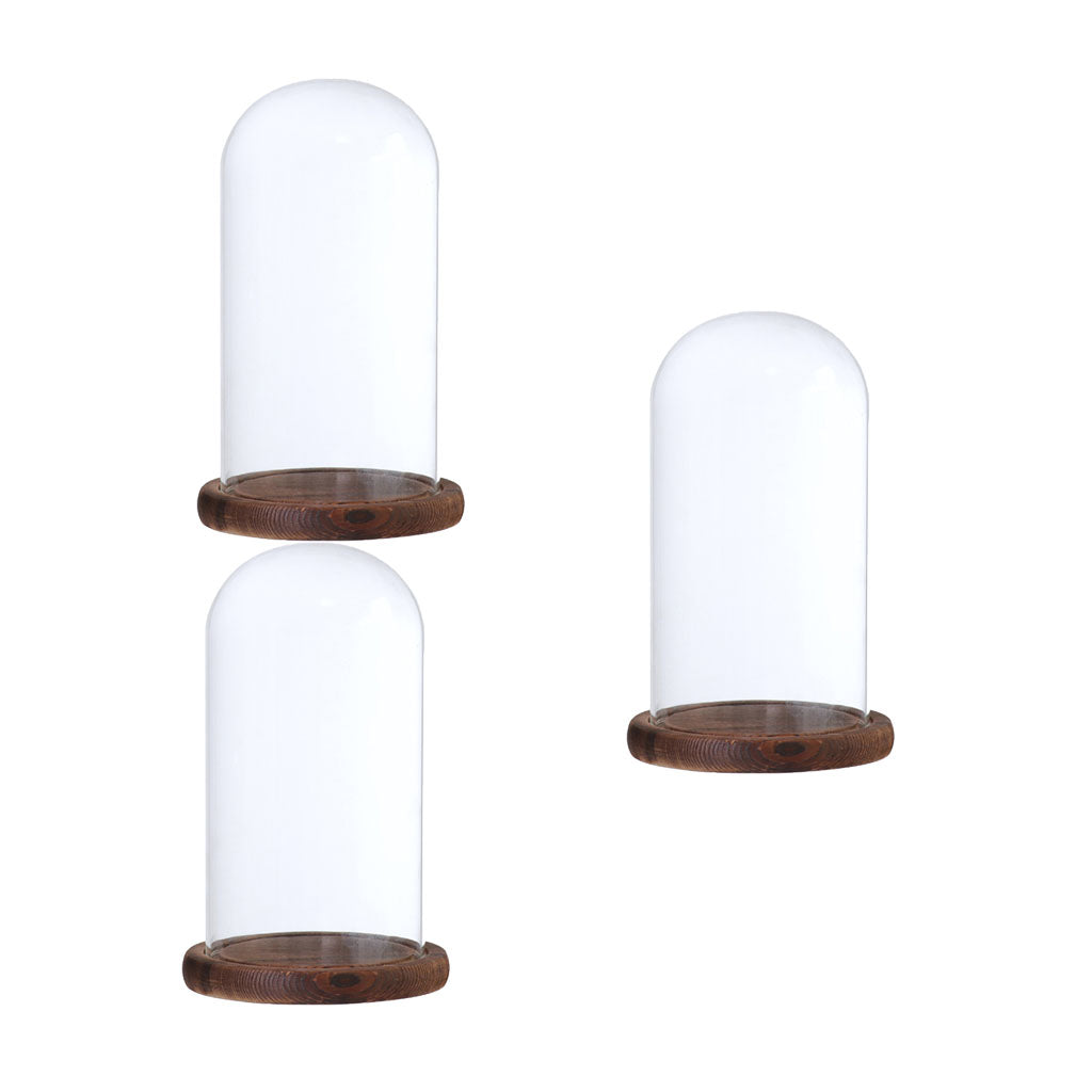 2xGlass Dome Cloche with Base Flower Landscape Holder Glass Cover Brown D