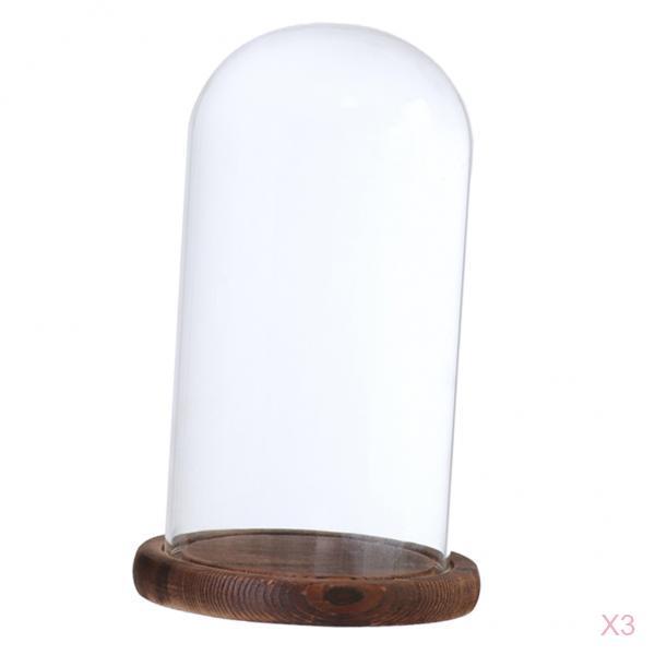 2xGlass Dome Cloche with Base Flower Landscape Holder Glass Cover Brown D