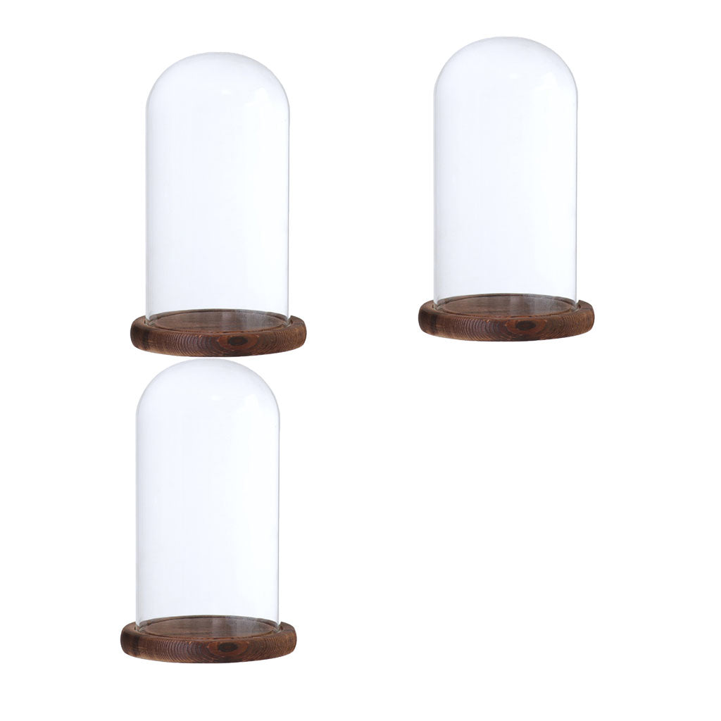 2xGlass Dome Cloche with Base Flower Landscape Holder Glass Cover Brown D