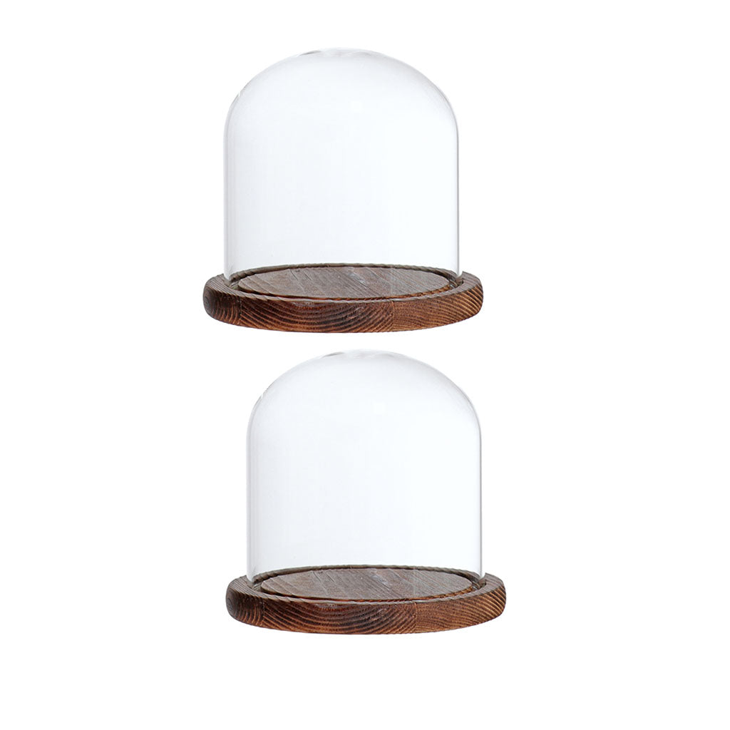 2xGlass Dome Cloche with Base Flower Landscape Holder Glass Cover Brown E