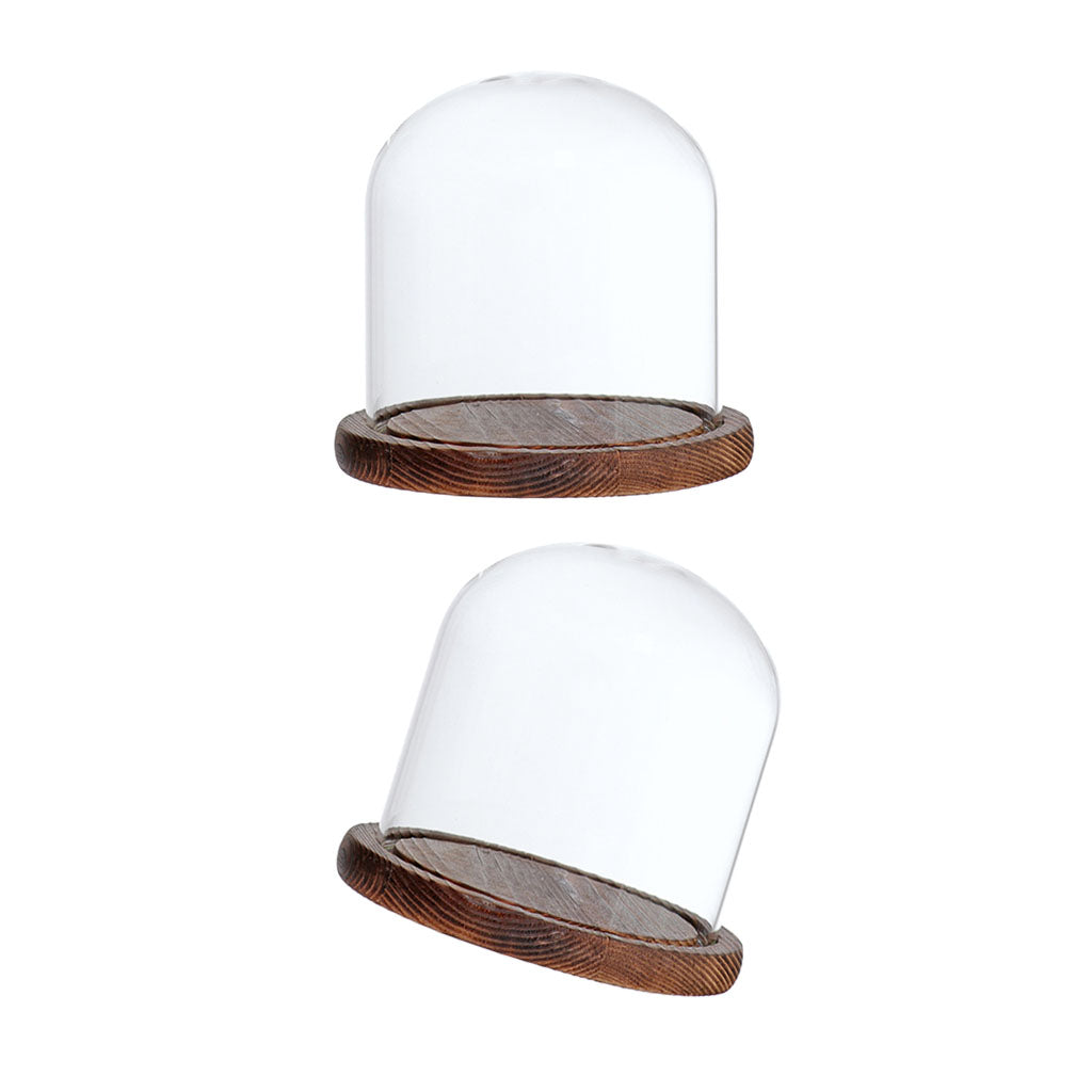 2xGlass Dome Cloche with Base Flower Landscape Holder Glass Cover Brown E