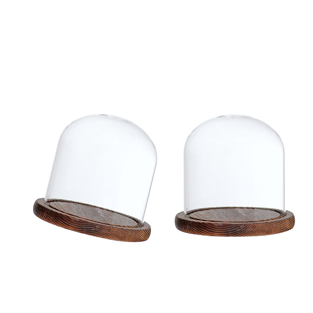 2xGlass Dome Cloche with Base Flower Landscape Holder Glass Cover Brown E