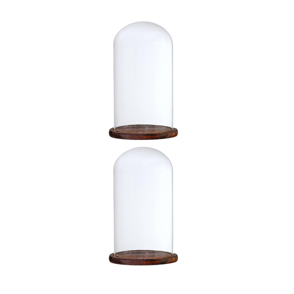 2xGlass Dome Cloche with Base Flower Landscape Holder Glass Cover Brown G
