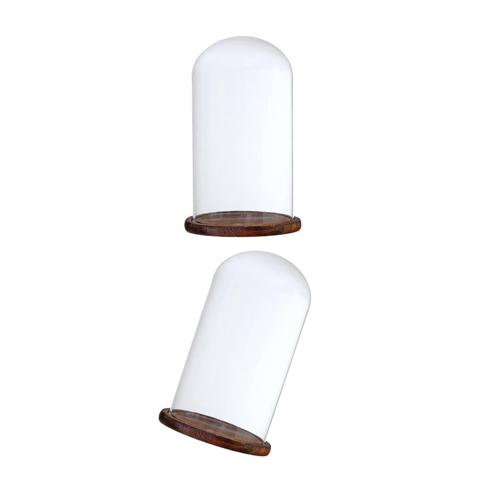 2xGlass Dome Cloche with Base Flower Landscape Holder Glass Cover Brown G