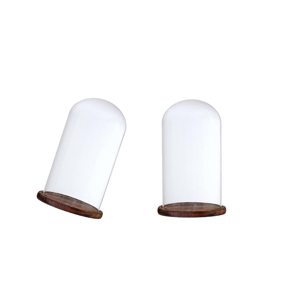 2xGlass Dome Cloche with Base Flower Landscape Holder Glass Cover Brown G
