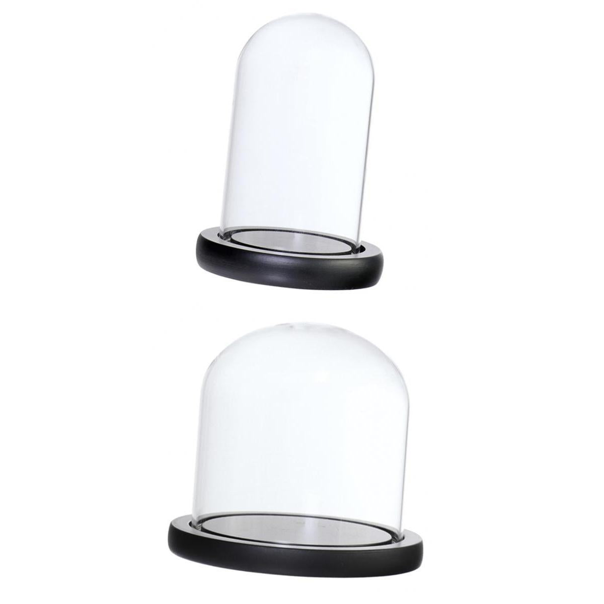 2xGlass Dome Cloche Flower Landscape Holder Glass Cover Black 2Size