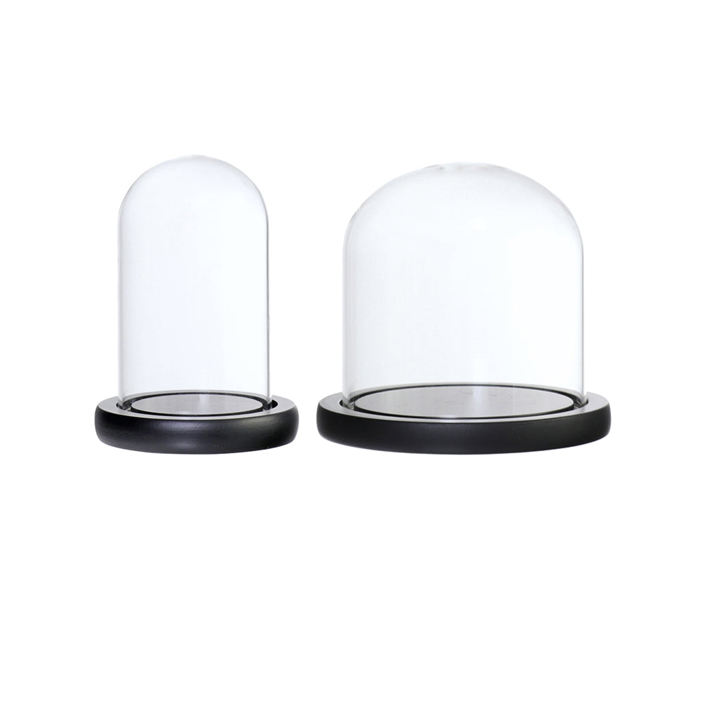 2xGlass Dome Cloche Flower Landscape Holder Glass Cover Black 2Size