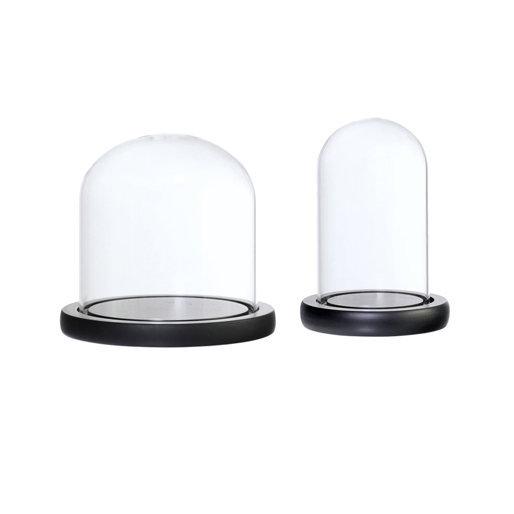 2xGlass Dome Cloche Flower Landscape Holder Glass Cover Black 2Size