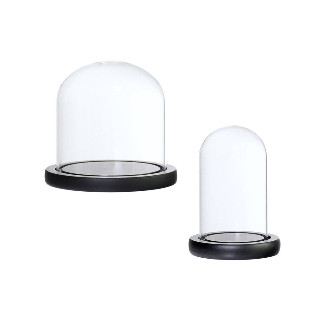 2xGlass Dome Cloche Flower Landscape Holder Glass Cover Black 2Size