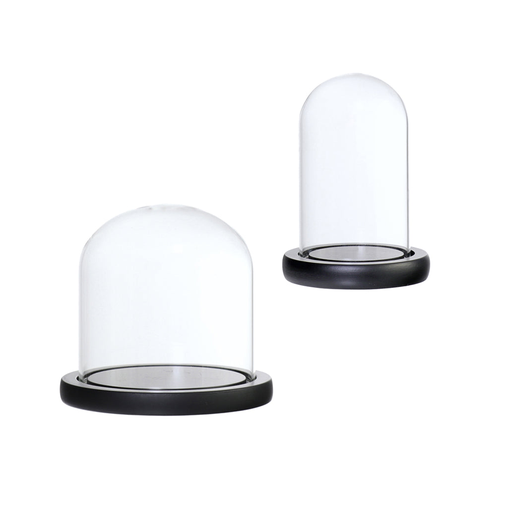 2xGlass Dome Cloche Flower Landscape Holder Glass Cover Black 2Size
