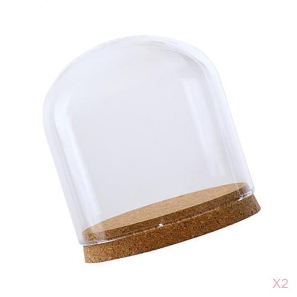 2xClear Glass Cloche Dome Cover Landscape Terrarium Container with Base S