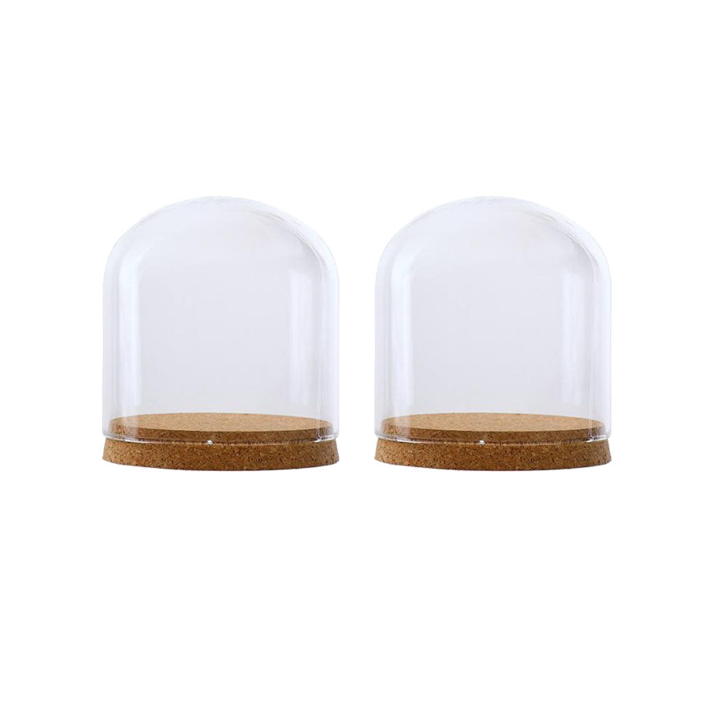 2xClear Glass Cloche Dome Cover Landscape Terrarium Container with Base S