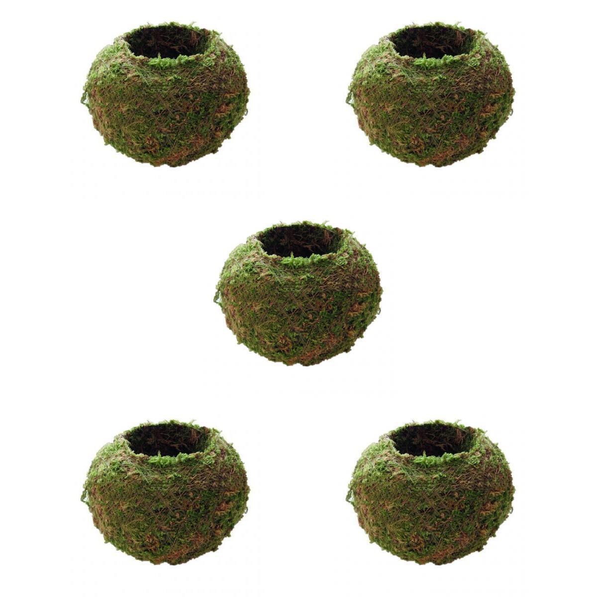 5Pcs Creative Moss Ball Flower Pot Planter Bonsai Plant Holder Home Garden