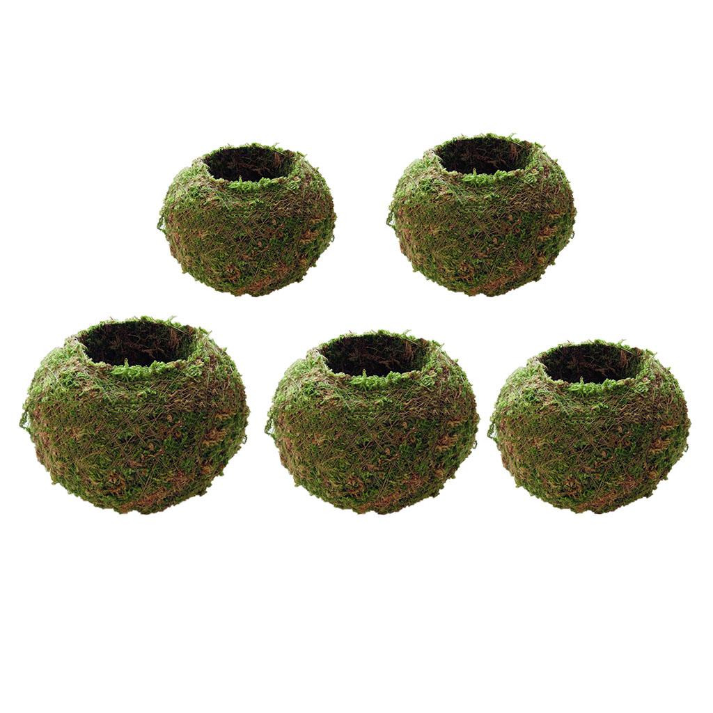 5Pcs Creative Moss Ball Flower Pot Planter Bonsai Plant Holder Home Garden