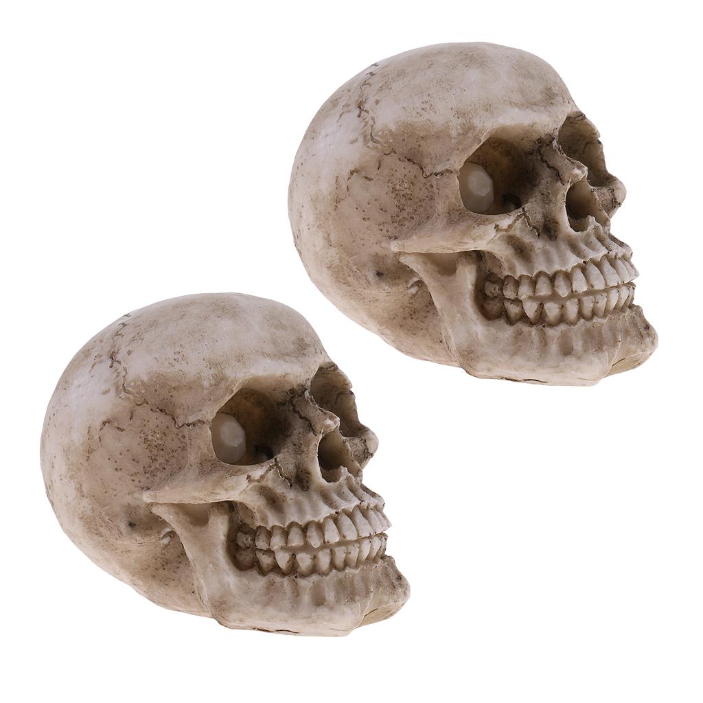 2 Pieces Small Human Head Skeleton Skull Figurines Resin Toy Collectibles