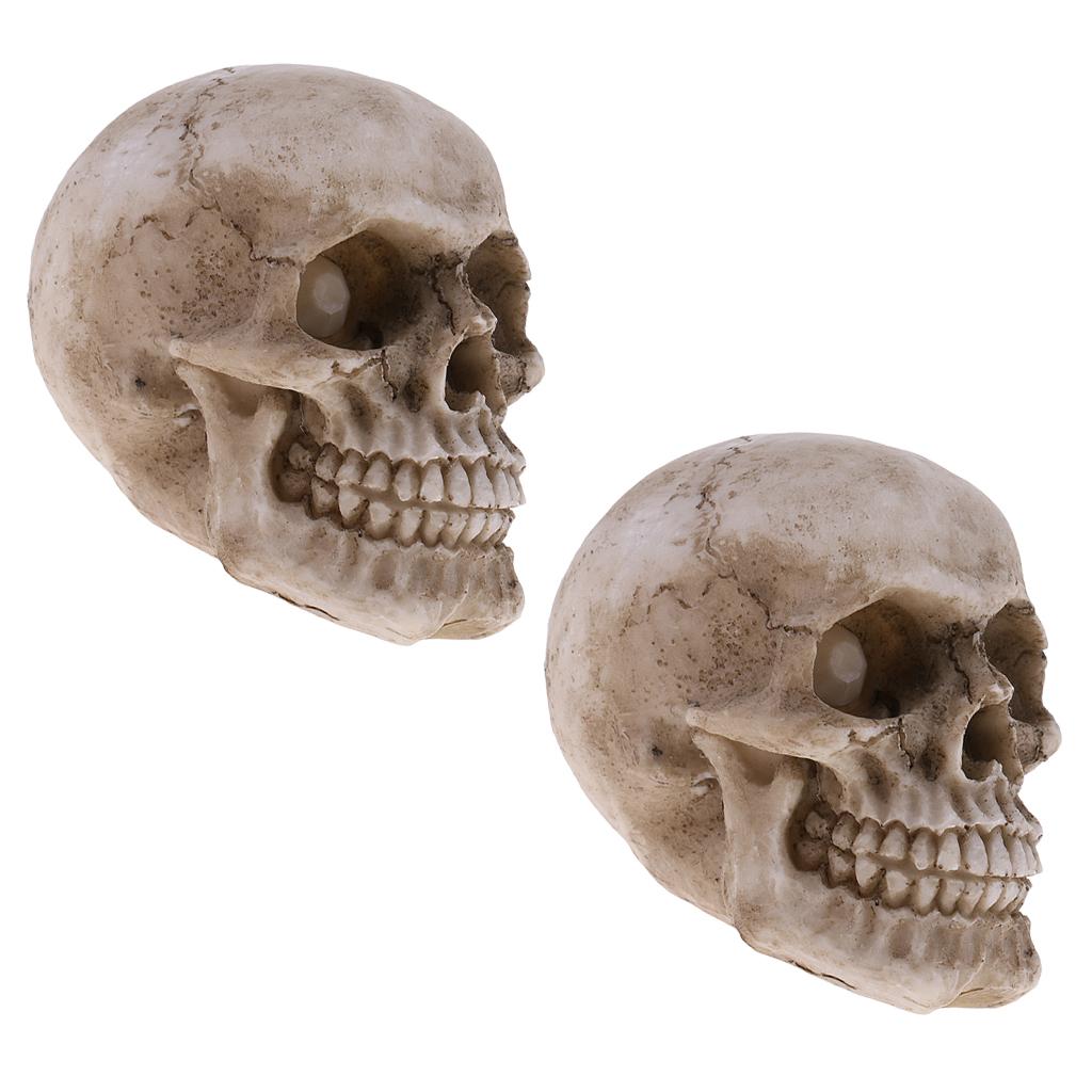 2 Pieces Small Human Head Skeleton Skull Figurines Resin Toy Collectibles