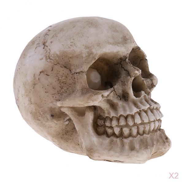 2 Pieces Small Human Head Skeleton Skull Figurines Resin Toy Collectibles
