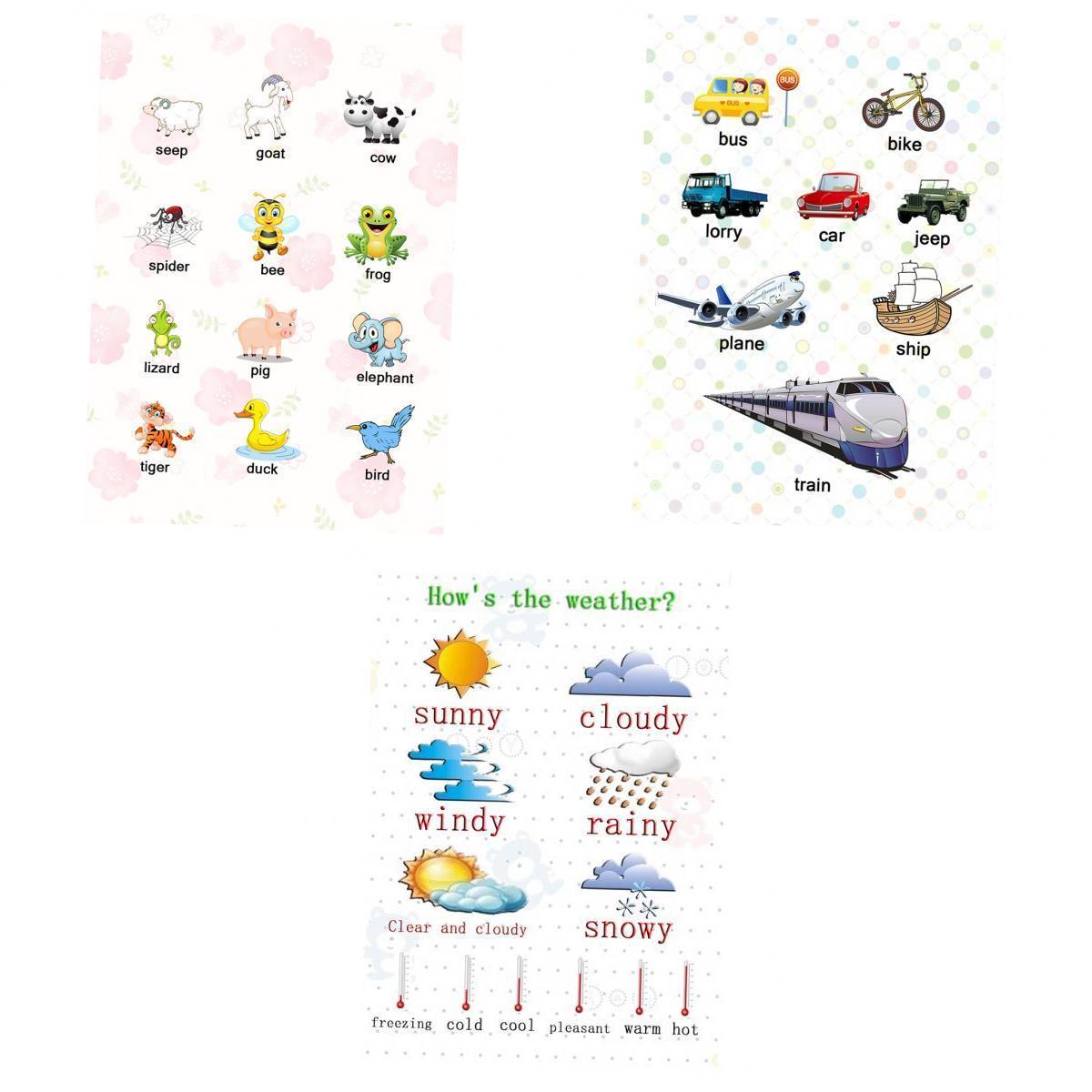 3Pcs Kids Baby Learning Poster Preschool Educational Posters