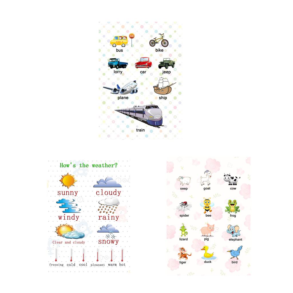 3Pcs Kids Baby Learning Poster Preschool Educational Posters