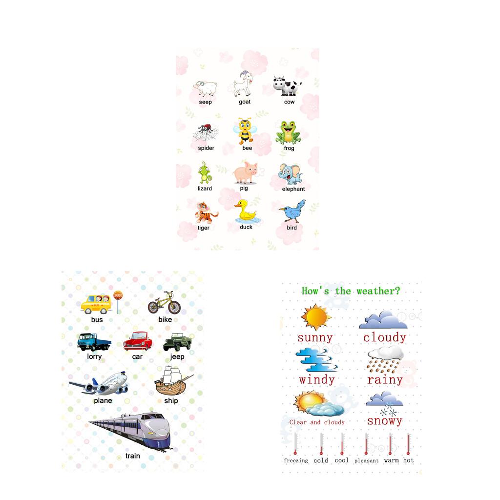 3Pcs Kids Baby Learning Poster Preschool Educational Posters