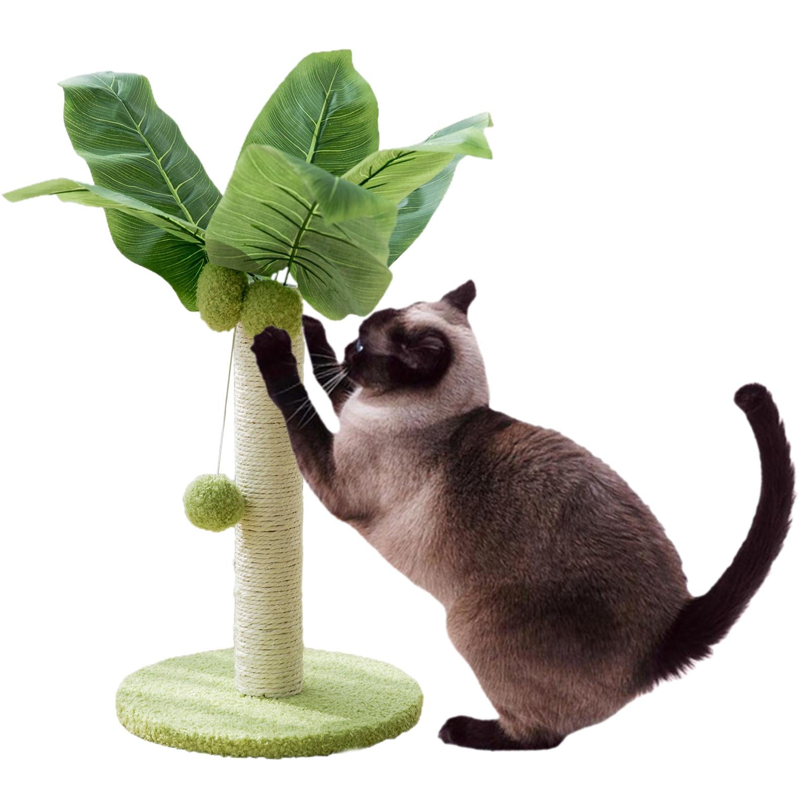 Cat scratching posts Cat Interactive Toy Cat Collar with Bell Necklace