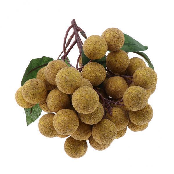 10xArtificial Vegetables Model- Fake Food for Kids Baby Playing -Longan