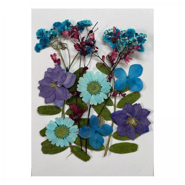 3xDried Flowers Crafts Multipurpose for Table Decorations Furniture Phone Case Blue and violet