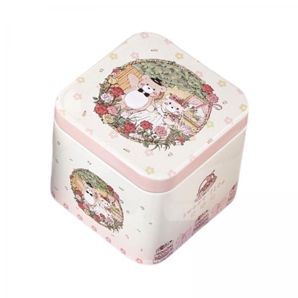 4xSquare Candy Tins with Lid Food Storage Box for Dry Tea Storage DIY Projects Style A