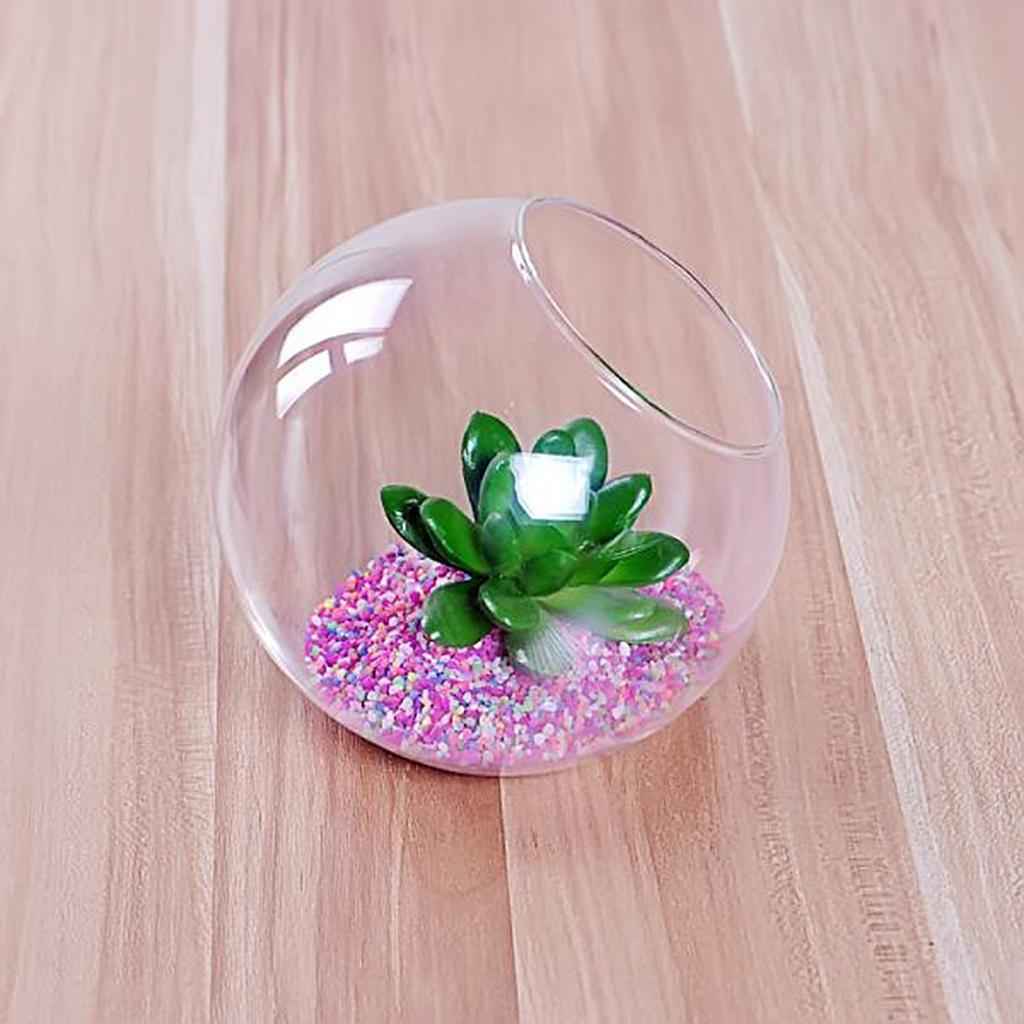 Clear Glass Vase Fishbowl Planter Terrarium Container Hydroponic Decor 15cm