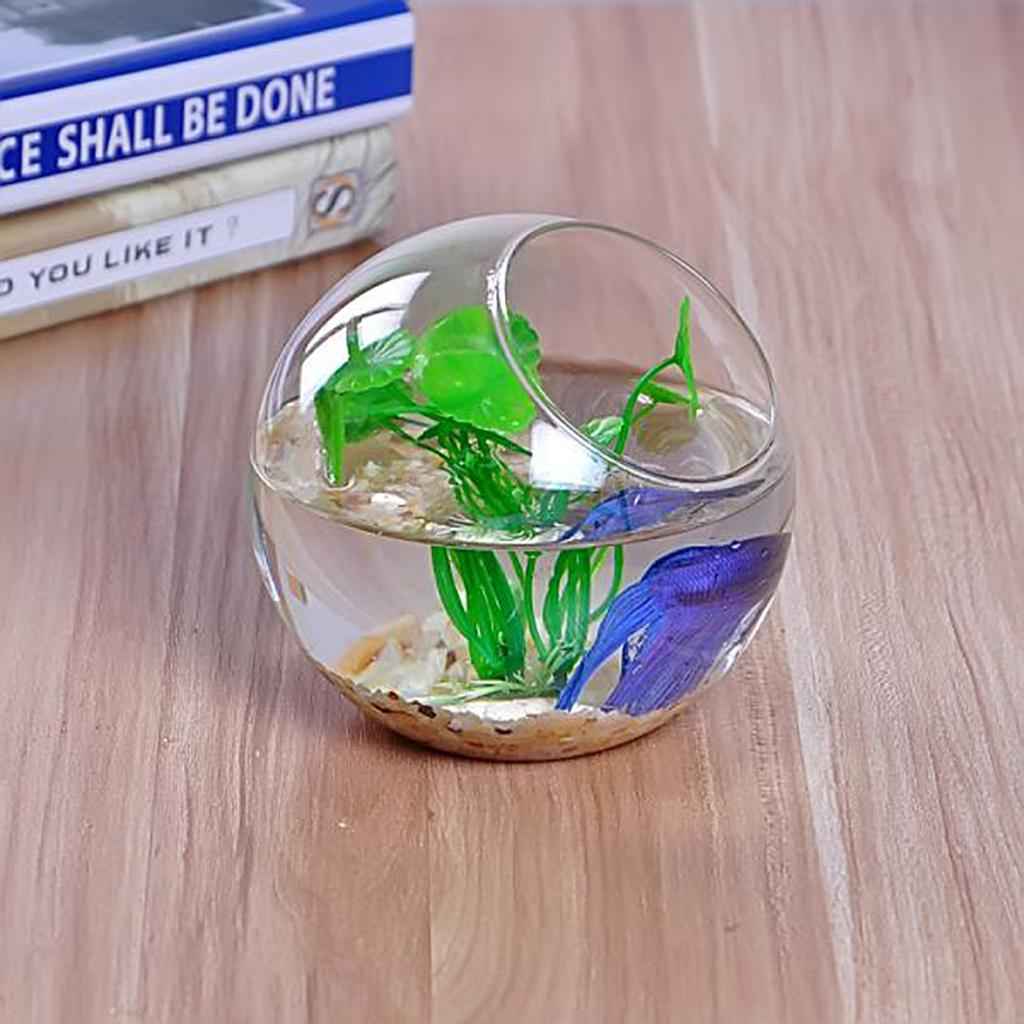 Clear Glass Vase Fishbowl Planter Terrarium Container Hydroponic Decor 15cm