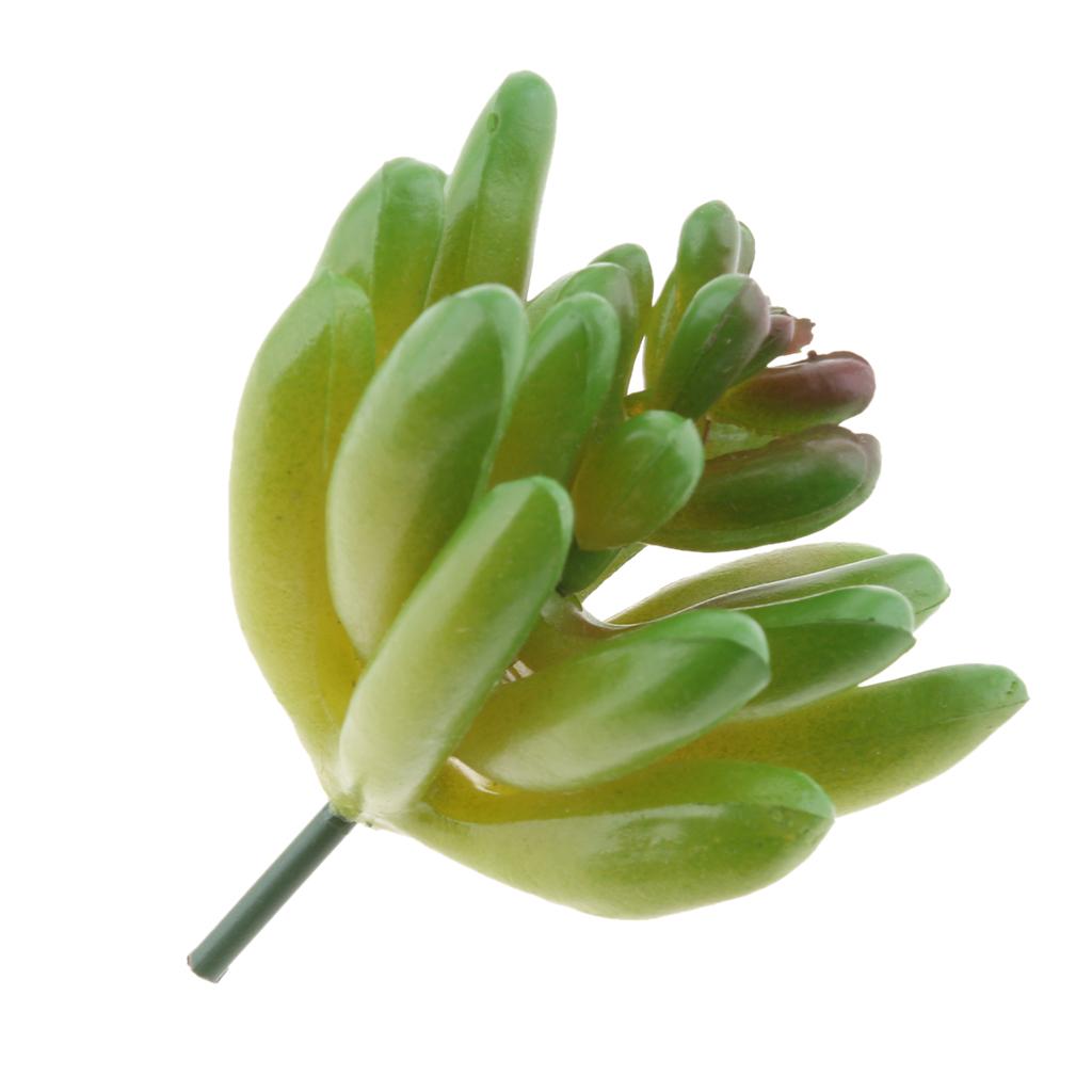 2.36'' Artificial Succulent Plant Echeveria #4 #5