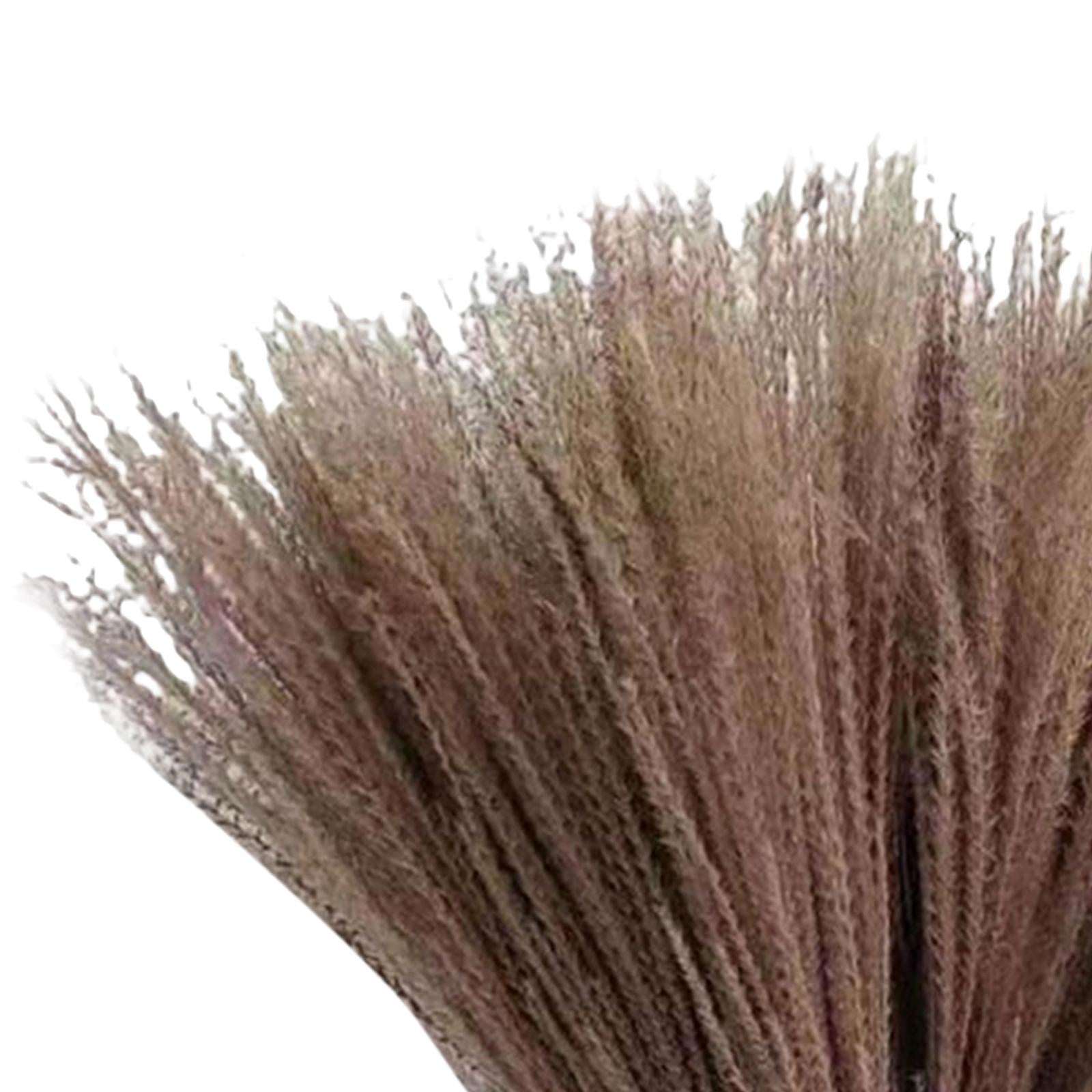 10x Reed Flowers Dried Pampas Grass for Vase Home Decoration Photo Props