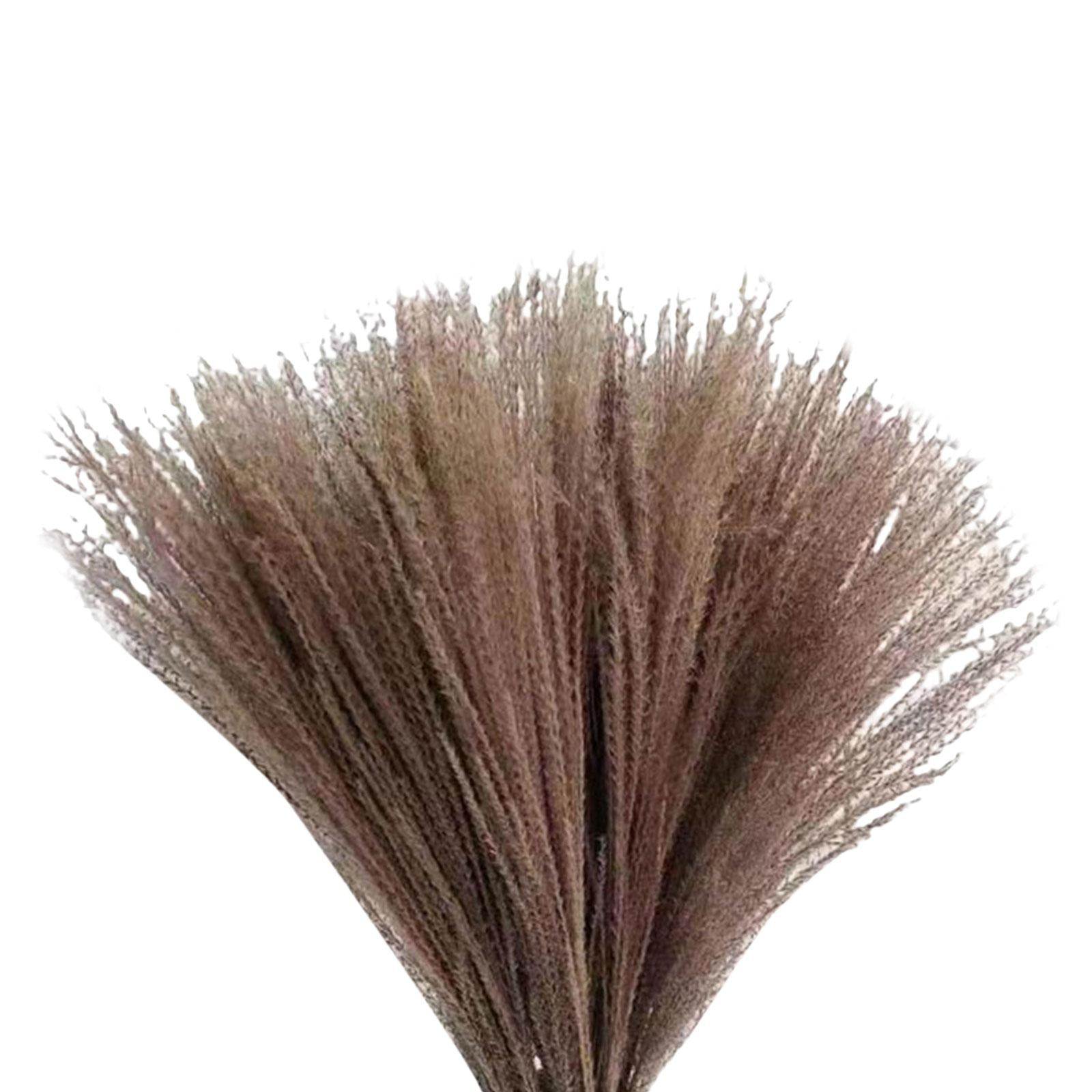 10x Reed Flowers Dried Pampas Grass for Vase Home Decoration Photo Props