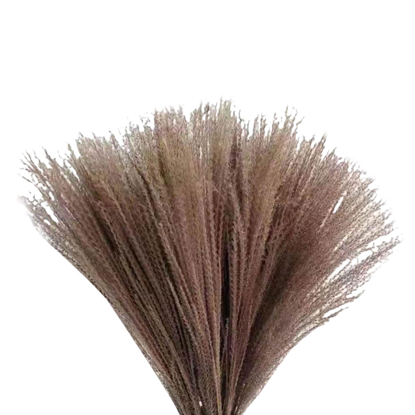 10x Reed Flowers Dried Pampas Grass for Vase Home Decoration Photo Props