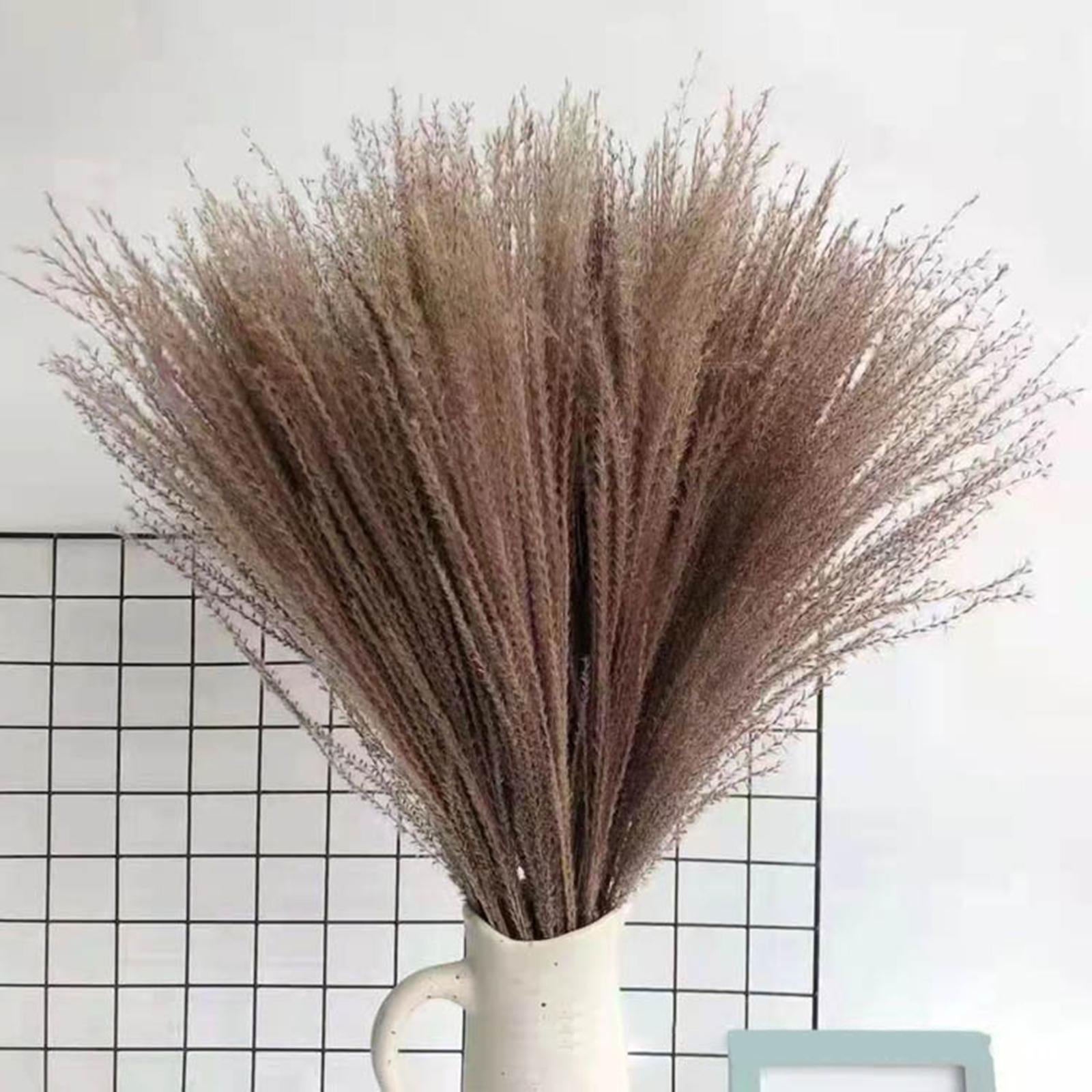 10x Reed Flowers Dried Pampas Grass for Vase Home Decoration Photo Props