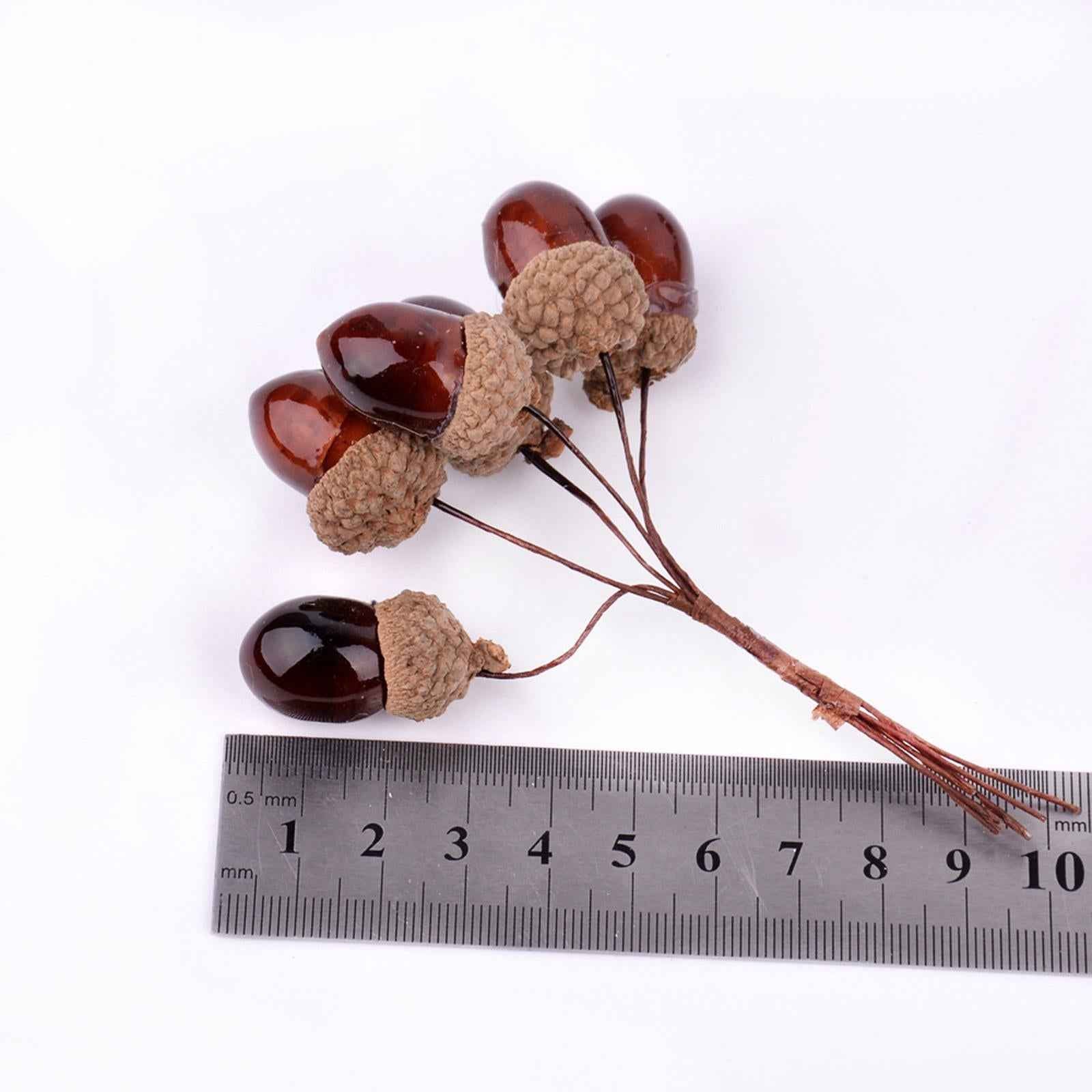 Artificial Fruits Acorns Decor Wreath Mini Foam for Party Halloween Home