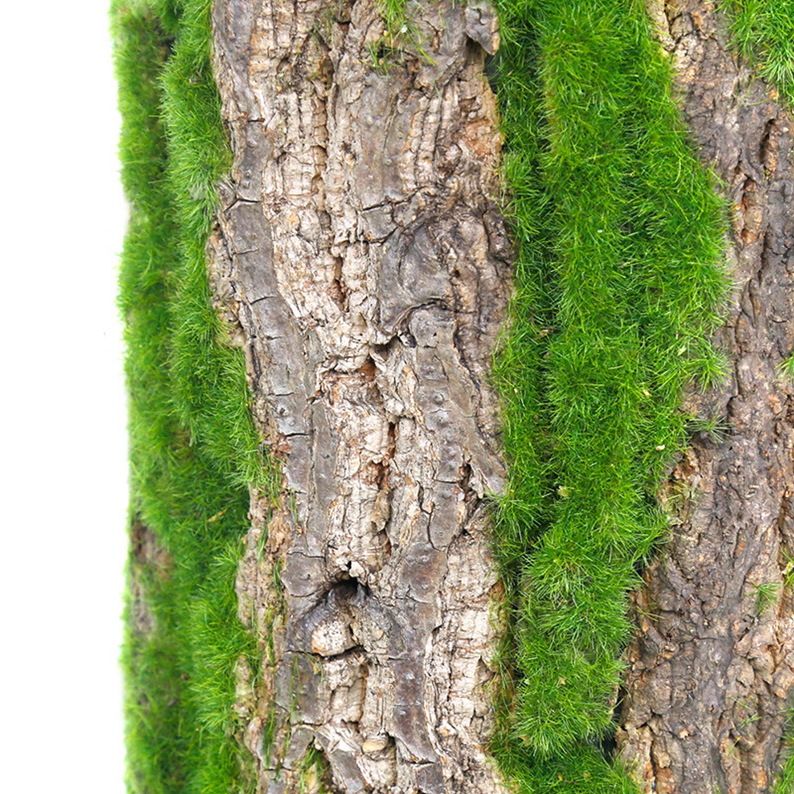 Simulation Bark Decor Sturdy Artificial Bark Portable for Garden Home Office 30cmx50cm